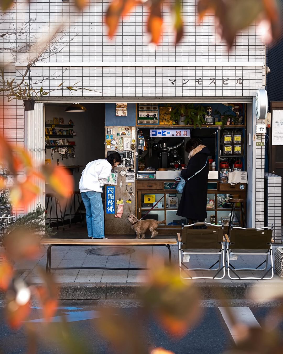 マンモスビル外観・店内イメージ